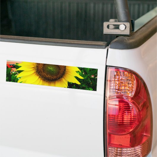 Sonnenblume Autoaufkleber (Auf Lkw)