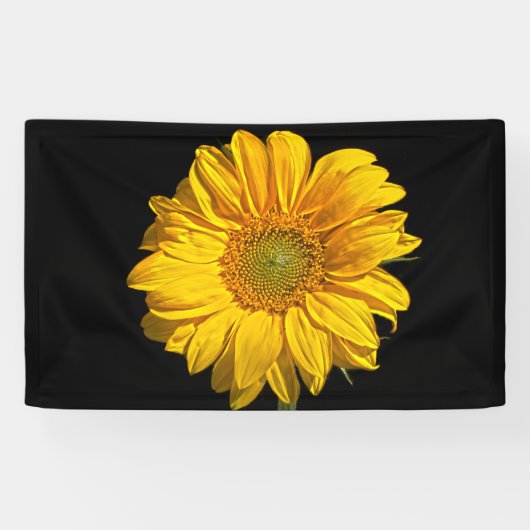 Sonnenblume Banner (Horizontal)