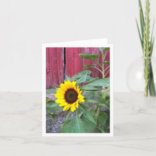 Sonnenblume-Bauernhof Notecard Karte