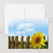 Sonnenblume Beauty Postkarte (Vorne/Hinten)