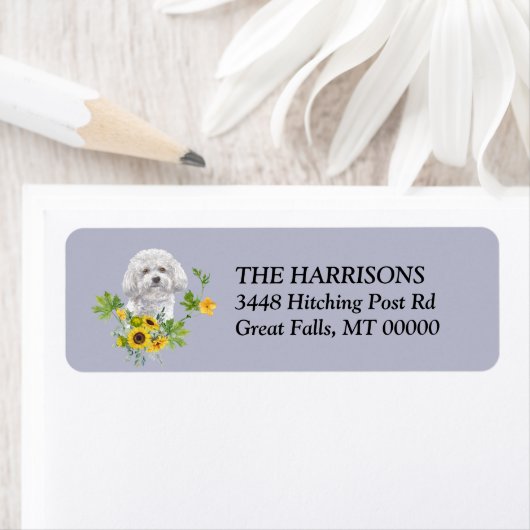 Sonnenblume Bichon Frise Rücksendeadresse (Insitu)