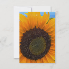 Sonnenblume, Biene und Himmel Mitteilungskarte