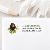 Sonnenblume Black Tan Cocker Spanel (Insitu)