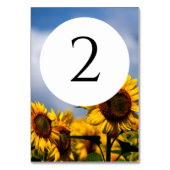 Sonnenblume Blauer Himmel Rustikale Hochzeit Tischnummer (Rückseite)