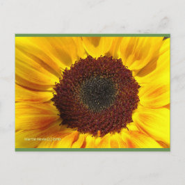 Sonnenblume | Blue Beach Song™ Postkarte
