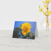 Sonnenblume Blue Sky Karte (Gelbe Blume)