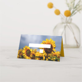 Sonnenblume Blue Sky Rustic Wedding Platzkarte