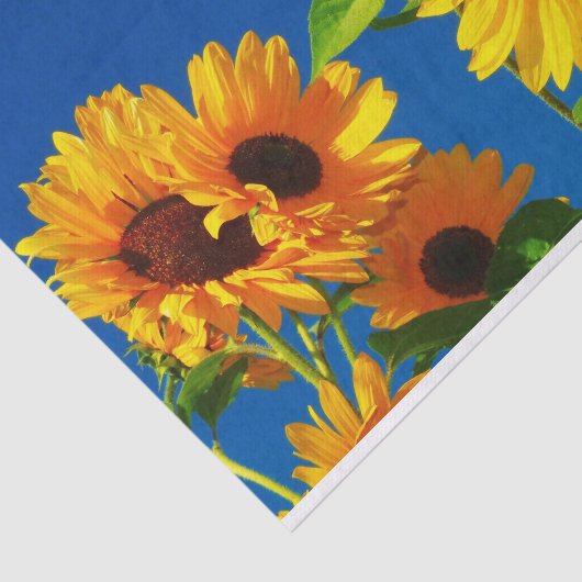 Sonnenblume-Blühen Seidenpapier (Ausschnitt)