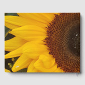 Sonnenblume Blume Blumenfotografie Gästebuch (Rückseite)