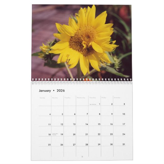 Sonnenblume-Blume Kalender (Jan 2026)