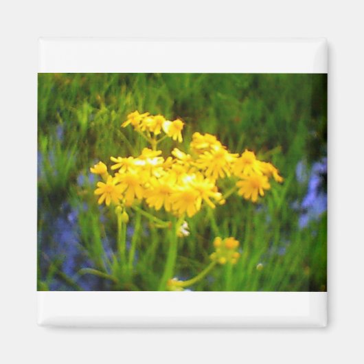 Sonnenblume Blume Magnet (Vorne)