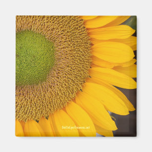 Sonnenblume-Blumen-Fotografie-Magnet Magnet