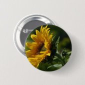 Sonnenblume-Blumenblatt-Blütenstaub-Gelb Button (Vorne & Hinten)