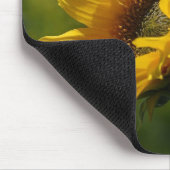 Sonnenblume-Blumenblatt-Blütenstaub-Gelb Mousepad (Ecke)