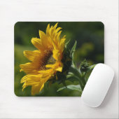 Sonnenblume-Blumenblatt-Blütenstaub-Gelb Mousepad (Mit Mouse)