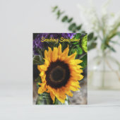 Sonnenblume Bouquet Botanische fotografische Flora Postkarte (Stehend Vorderseite)