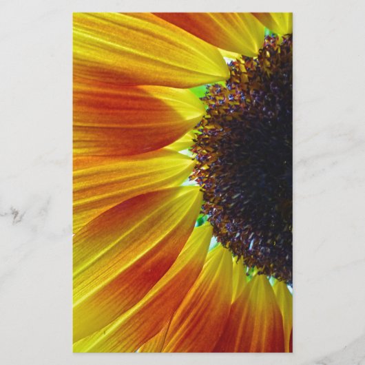 Sonnenblume Briefpapier (Vorderseite)