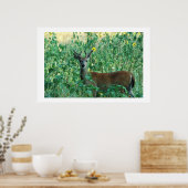 Sonnenblume Buck Poster (Küche)