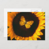 Sonnenblume Butterfly Postkarte (Vorne/Hinten)