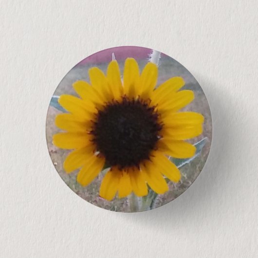 Sonnenblume Button (Vorderseite)
