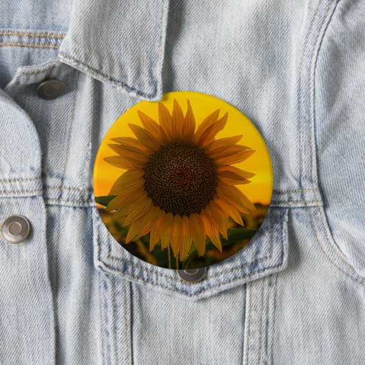 Sonnenblume 🌻 button (Beispiel)