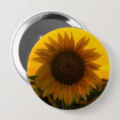 Sonnenblume 🌻  button (Vorne & Hinten)