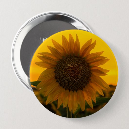 Sonnenblume 🌻 button (Vorne & Hinten)