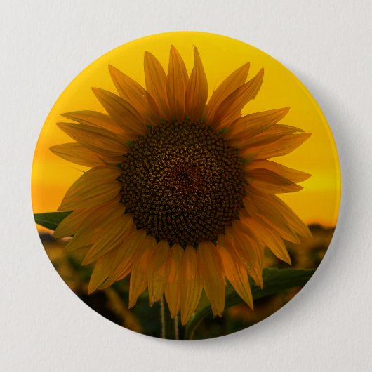 Sonnenblume 🌻  button (Vorderseite)