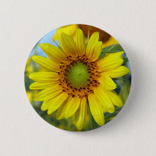 Sonnenblume Button