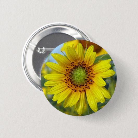 Sonnenblume Button (Vorne & Hinten)