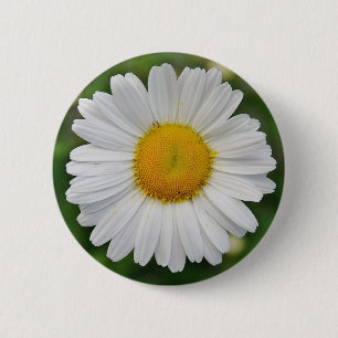 Sonnenblume Button