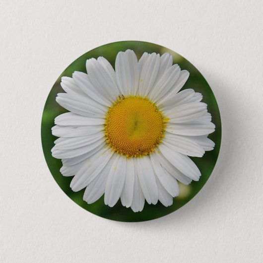 Sonnenblume Button (Vorderseite)