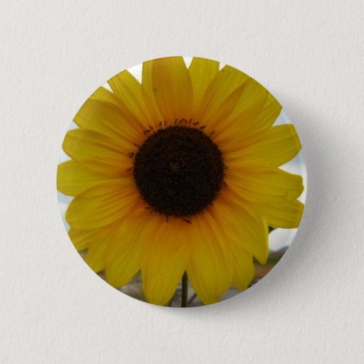Sonnenblume Button (Vorderseite)