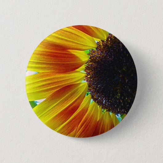 Sonnenblume Button (Vorderseite)