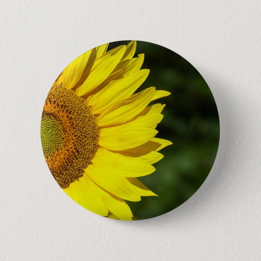 Sonnenblume Button (Vorderseite)