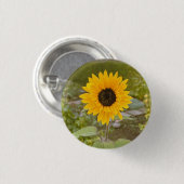 Sonnenblume Button (Vorne & Hinten)