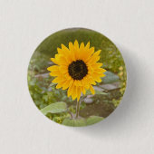 Sonnenblume Button (Vorderseite)