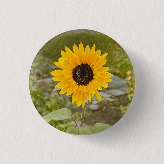 Sonnenblume Button (Vorderseite)