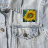 Sonnenblume Button (Beispiel)