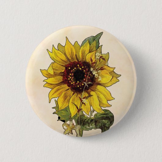 Sonnenblume Button (Vorderseite)