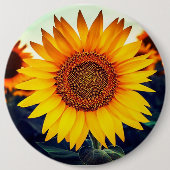 Sonnenblume Button (Vorderseite)
