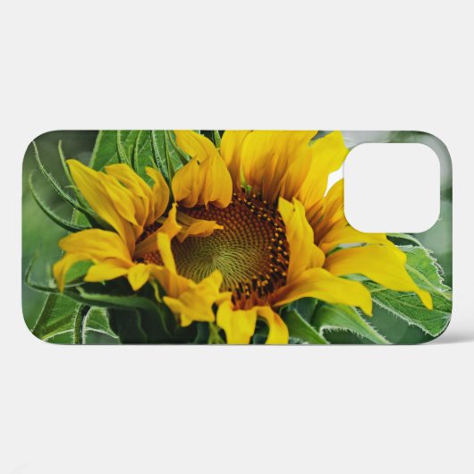 Sonnenblume Case-Mate iPhone Hülle (Rückseite (Horizontal))