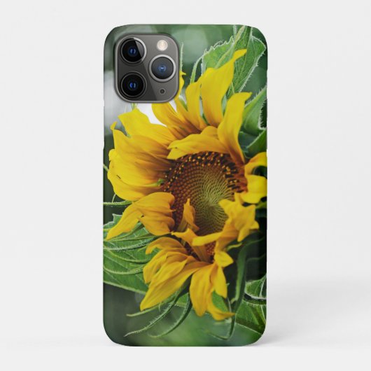 Sonnenblume Case-Mate iPhone Hülle (Rückseite)