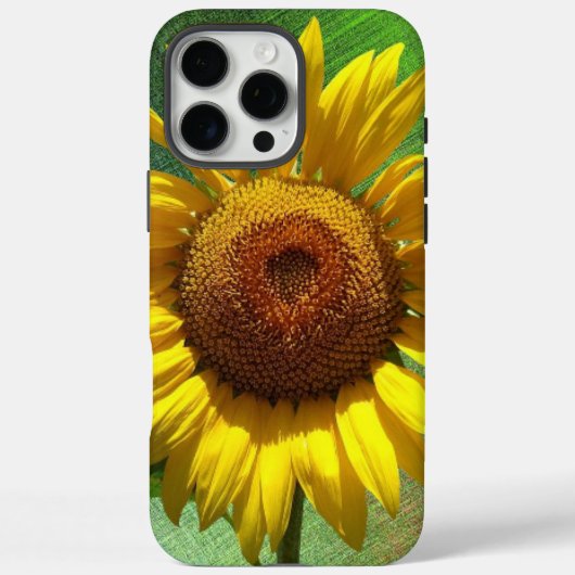 Sonnenblume Case-Mate iPhone Hülle (Rückseite)