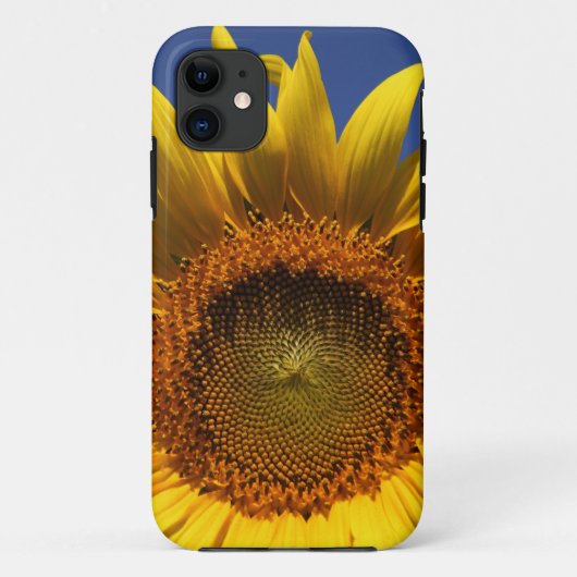 Sonnenblume Case-Mate iPhone Hülle (Rückseite)