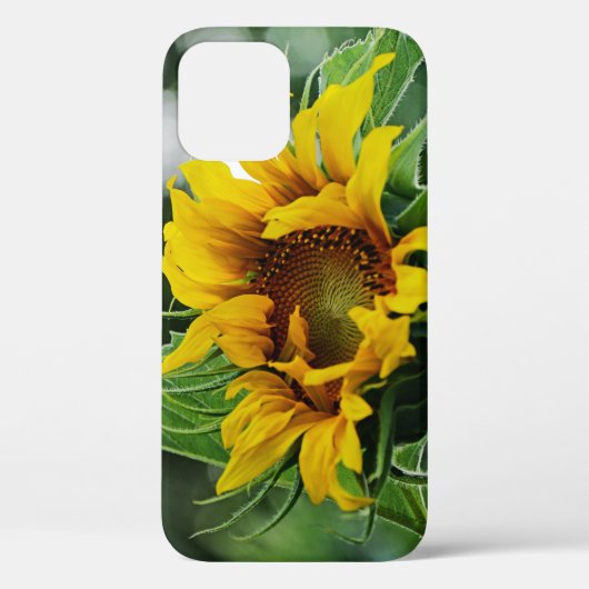 Sonnenblume Case-Mate iPhone Hülle (Rückseite)