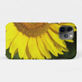 Sonnenblume Case-Mate iPhone Hülle (Rückseite (Horizontal))