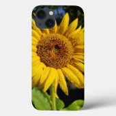 Sonnenblume Case-Mate iPhone Hülle (Rückseite)