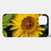 Sonnenblume Case-Mate iPhone Hülle (Rückseite (Horizontal))