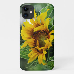 Sonnenblume Case-Mate iPhone Hülle